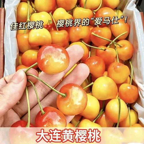 大连黄金大樱桃新鲜水果4j国产车厘子佳红美早礼盒5j雷尼尔黄蜜甜