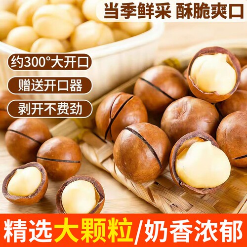 夏威夷果新货奶香味250g500g大颗粒坚果炒货袋装休闲零食年货批发