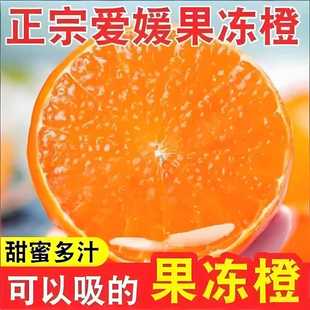 爱媛38号果冻橙柑橘手剥橙新鲜橙子水果应当季时令桔橘子