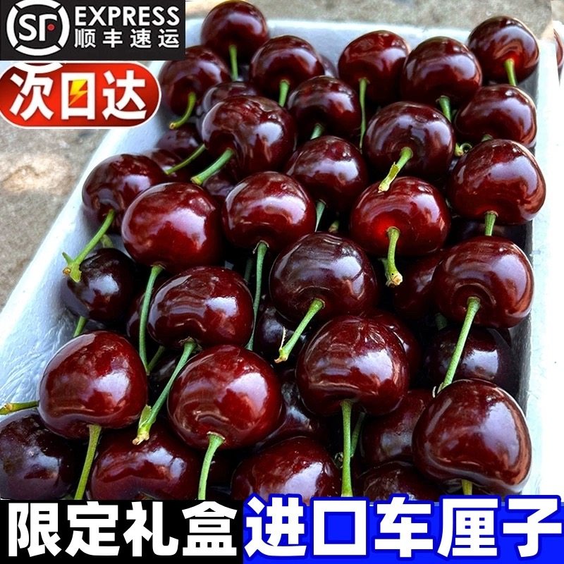 顺丰包邮4J智利桑提娜车厘子新鲜进口樱桃高级水果当季精美礼盒装