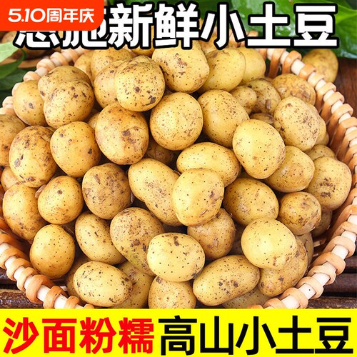 恩施小土豆新鲜马铃薯正宗黄心