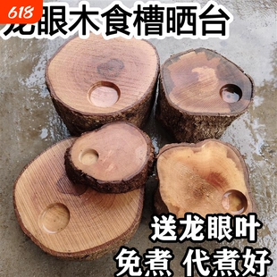 龙眼木晒台已煮好天然带食槽龟缸造景摆件乌龟用品沉木晒背台造景