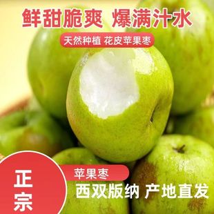 云南正宗苹果枣花皮太阳斑糖斑应季 120g 水果产地直发单果重80