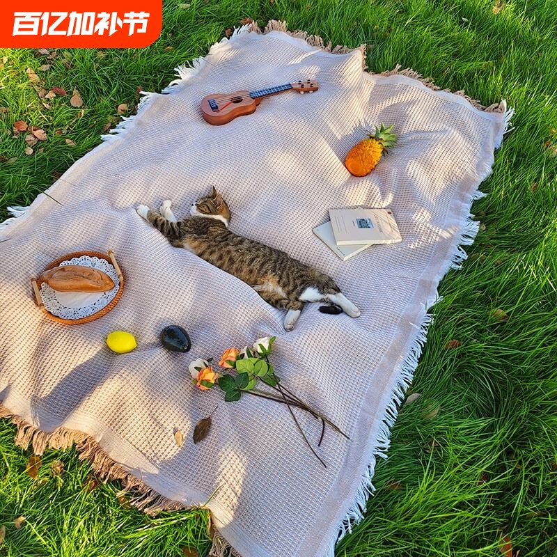 春日野餐垫防潮垫野餐布户外露营白色毯子沙滩垫帐篷公园地垫法式