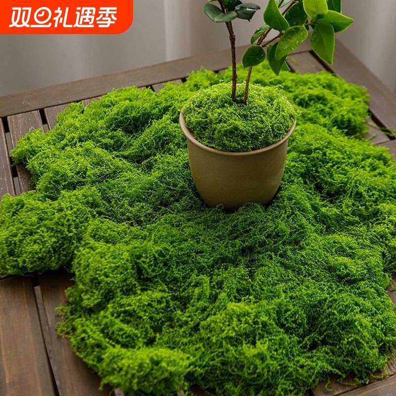 仿真绿植造景苔藓布景景观装饰人造草皮室内玄关草坪室外毛线造型