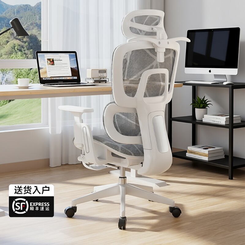 电脑椅家用办公椅子舒适久坐电竞座椅升降学习护腰人体工学椅可调