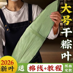 粽子叶干大号特新包的棕商用家鲜批发旗舰店材料芦野生苇叶子竹叶