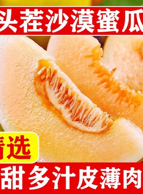 甘肃民勤蜜瓜沙漠甜瓜新鲜应季水果红肉哈密瓜香瓜批发冰激凌脆甜