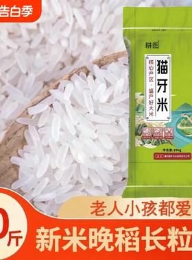 南方大米丝苗米10斤/20斤新米晚稻米猫牙香米长粒米饭袋装软糯