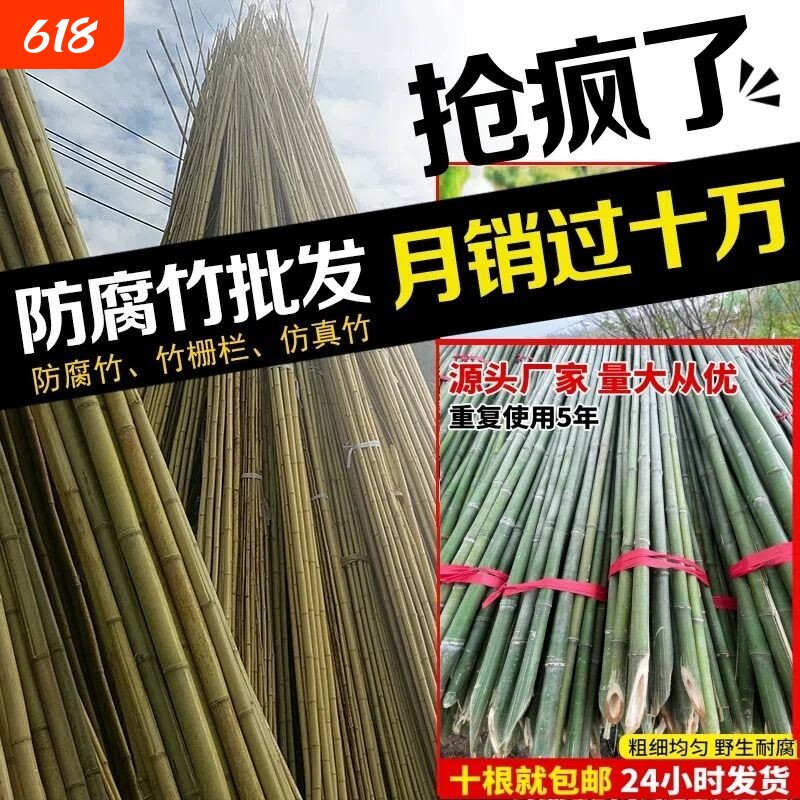 小竹杆爬藤架竹竿菜园搭架豆角竹篱笆彩旗竹竿子花架竹子黄瓜种植