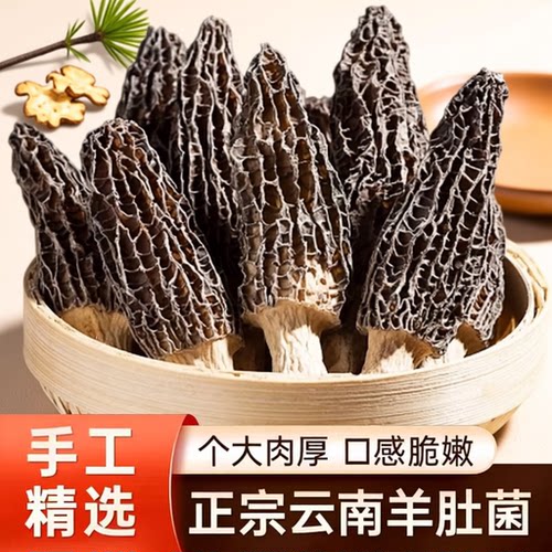 滋补云南特色干货羊肚菌煲汤爆炒