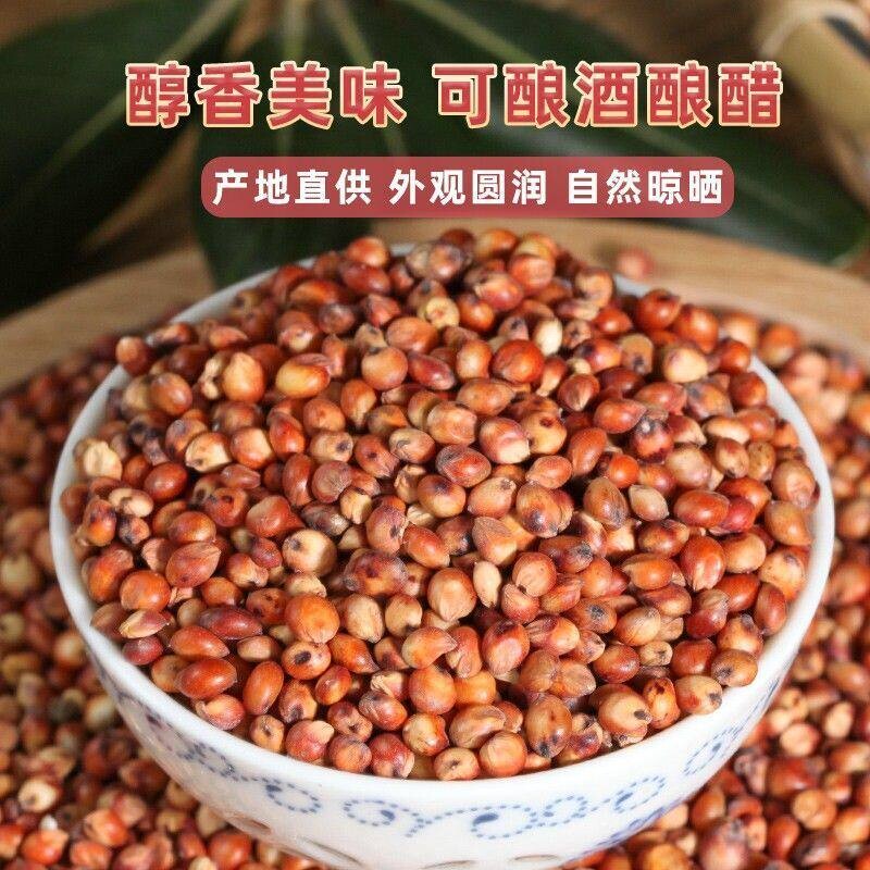 贵州农家红高粱酿酒喂鸽子粮食包邮新粮带皮喂鸟饲料批发