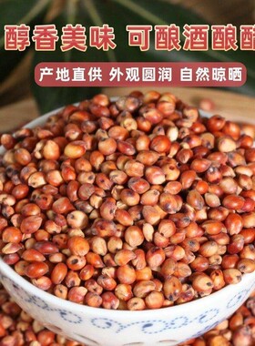贵州农家红高粱酿酒喂鸽子包邮
