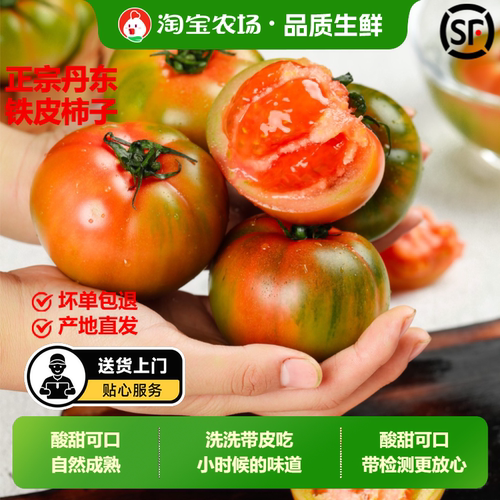 丹东草莓铁皮柿子西红柿新鲜自然熟柿子盘锦碱地水果番茄顺丰包邮