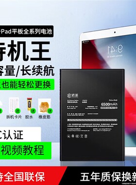 【榜单TOP】适用苹果平板电池
