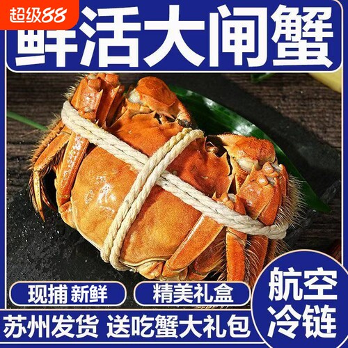 【活蟹】现货鲜活大闸蟹公母螃蟹生鲜河蟹海鲜水产礼盒装含绳