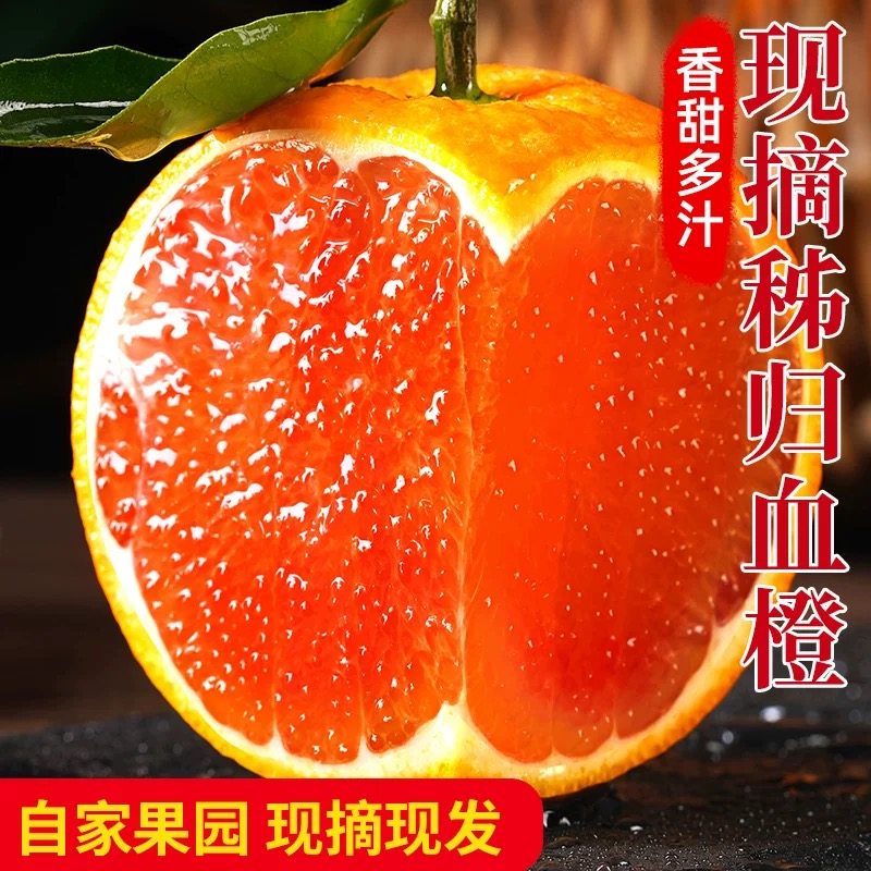 秭归血橙当季时令水果中华红心橙冰糖果冻10斤脐手剥雪橙新鲜橙子,水产肉类/新鲜蔬果/熟食,橙,淘宝优惠券,粉丝福利购,淘宝优惠卷