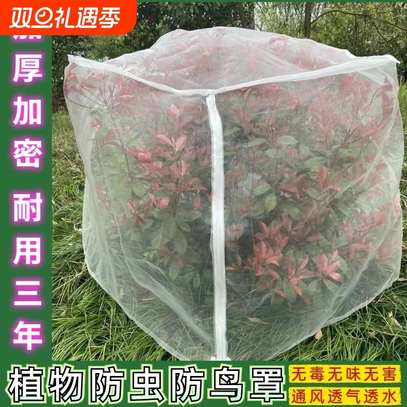 果树防虫防鸟罩嘉宝果芭乐果枇杷雾莲大棚专用罩防虫网加密果蝇