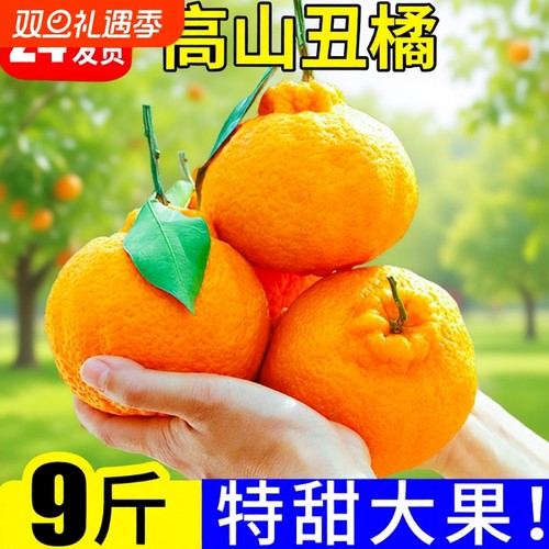 精选高山丑橘特大果5斤整箱
