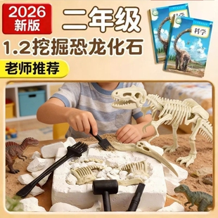 儿童DIY恐龙化石玩具挖掘二年级科学课实验材料可拼接恐龙骨架