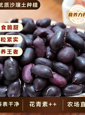 农家自种富硒黑花生高花青素天然黑色杂粮晾晒带壳新货养生瓜子