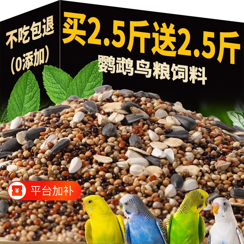 玄凤五色黍子饲料专用粮食