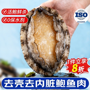 鲍鱼肉鲜活冷冻去牙去壳新鲜活特大鲍去内脏火锅食材海鲜水产带壳
