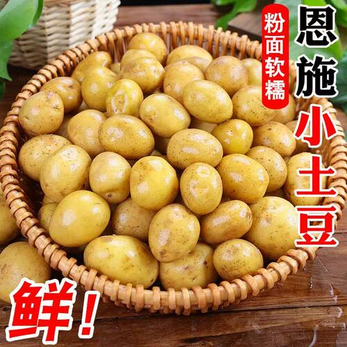 湖北恩施黄心小土豆呀新鲜现挖马铃薯洋芋粉糯香甜新鲜蔬菜多规格