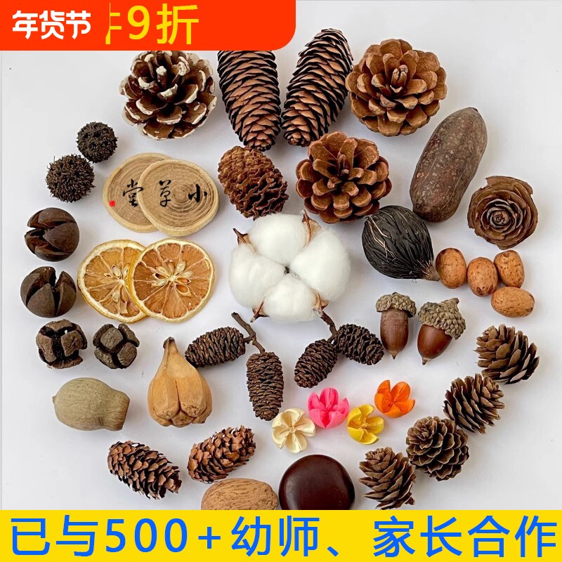 幼儿园松果木片树叶干花干果组合圣诞diy手工干花干果橡果艺术品