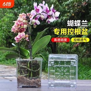 加高透明树脂塑料正方形花盆透气控根蝴蝶兰洋可视观察植物根系
