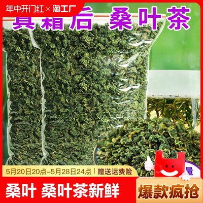 桑叶 桑叶茶新鲜冻干野生散装100g500g正品天然霜后冬桑叶茶袋装