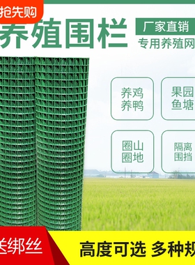 隔离铁丝网养鸡围栏网养殖网围栏护栏绿色绿网耐用铁网格网拦鸡网
