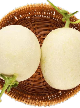 阎良甜瓜香瓜新鲜水果白皮蜜瓜小甜瓜孕妇水果3斤2-3个瓜果挑选