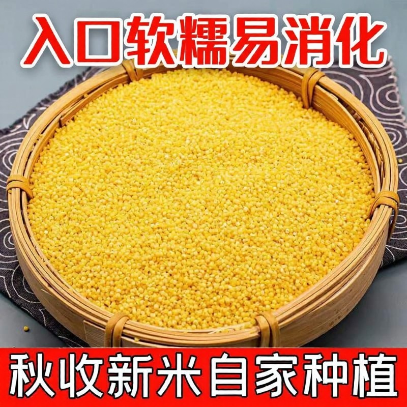 农家黄小米新鲜醇厚营养米粥谷物杂粮五谷杂粮谷子米油袋装