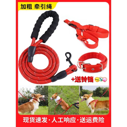 2米3米狗狗牵引绳狗绳子遛狗泰迪金毛宠物小型犬狗链防爆冲背带