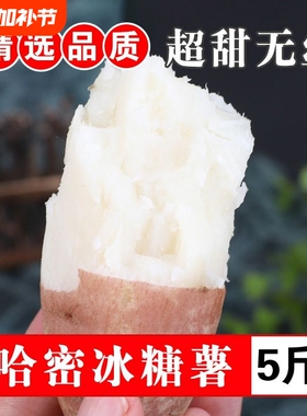 山东哈密冰糖心白薯地瓜新鲜5斤老品种山芋白心板栗超甜无丝红薯