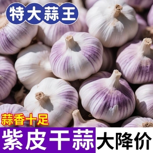 正宗紫皮白皮干大蒜农家大蒜头清仓批发商用便宜新干蒜 中 热卖