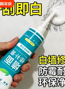 补墙膏墙面修复膏防水防霉防潮白色墙体开裂缝补洞腻子墙壁涂料漆