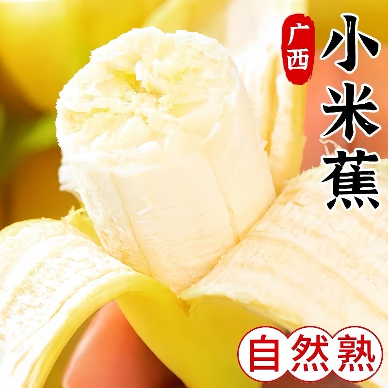 正宗广西小米蕉当季新鲜水果小香蕉产地直发小芭蕉酸甜蕉小蕉,水产肉类/新鲜蔬果/熟食,香蕉,淘宝优惠券,粉丝福利购,淘宝优惠卷