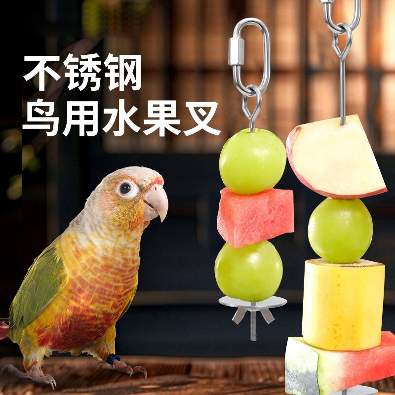 鹦鹉不锈钢水果叉鸟用蔬菜玉米零食挂钩水果夹喂食器玩具鸟笼配件