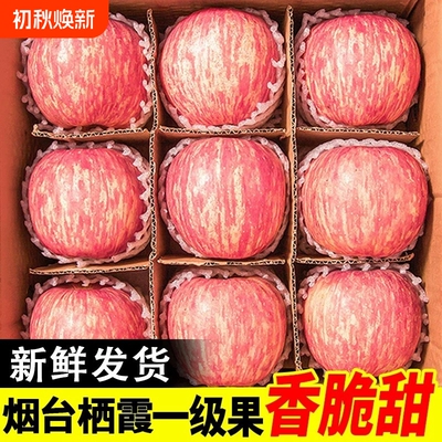烟台红富士苹果10应当季斤新鲜水果整箱山东栖霞脆甜冰糖心丑平果