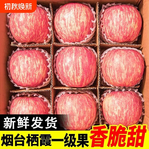 烟台红富士苹果10应当季斤新鲜水果整箱山东栖霞脆甜冰糖心丑平果