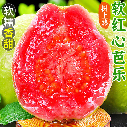 福建红心番石榴软糯胭脂水果芭乐