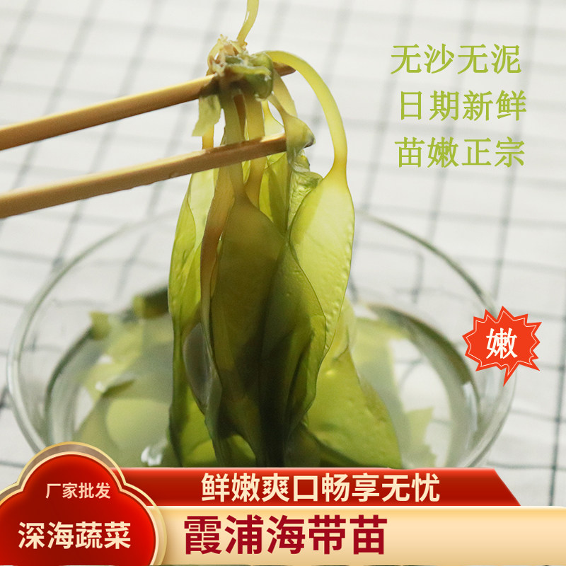 时全 5斤海带苗嫩特产霞浦新鲜盐渍小海带芽嫩苗级非干货火锅食材,水产肉类/新鲜蔬果/熟食,海带,淘宝优惠券,粉丝福利购,淘宝优惠卷