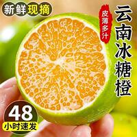 云南哀牢山冰糖橙净重4.5斤