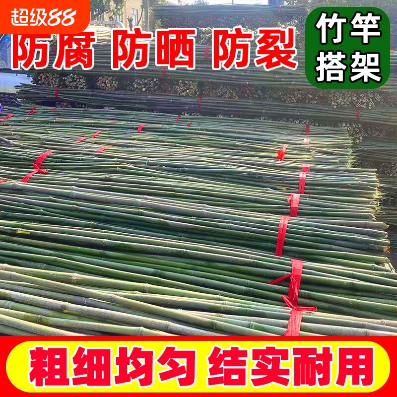 竹竿爬藤架蔬菜攀爬架耐腐耐用图片