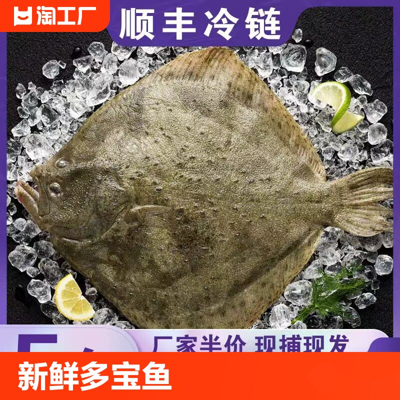 3斤3条新鲜多宝鱼鲜活比目鱼鲽鱼海鱼单冻水产无冰刺少包顺丰冷冻