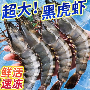 超大黑虎虾新鲜老虎虾特大基围虾对虾鲜活速冻斑竹九节虾海鲜年货