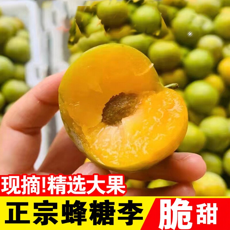 贵州正宗镇宁六马蜂糖李新鲜现摘现发脱骨应季鲜果水果李子黄金