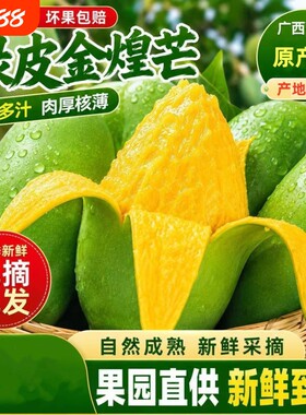 【官方推荐】广西百色金煌芒